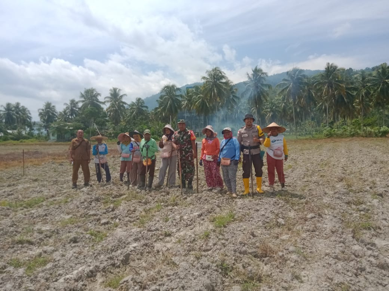 Bhabinkamtibmas Polsek Ampana Kota Tanam Jagung Bersama Warga, Wujud Nyata Dukung Ketahanan Pangan Nasional