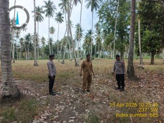 Polsek Ampana Kota Cek Lahan Jagung di Sansarino, Dukung Ketahanan Pangan Nasional