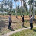 Dukung Ketahanan Pangan Nasional, Kapolsek Ampana Kota Turun Langsung Tinjau Lahan Jagung Siap Panen