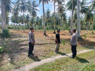 Dukung Ketahanan Pangan Nasional, Kapolsek Ampana Kota Turun Langsung Tinjau Lahan Jagung Siap Panen