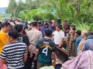 Pengendara Motor Tewas Tertimpa Pohon di Jalan Trans Sulawesi Desa Tete A
