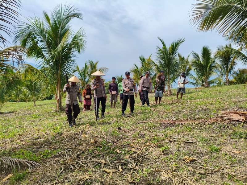 Polsek Jajaran Polres Touna Turun Langsung ke Lahan Jagung Milik Warga